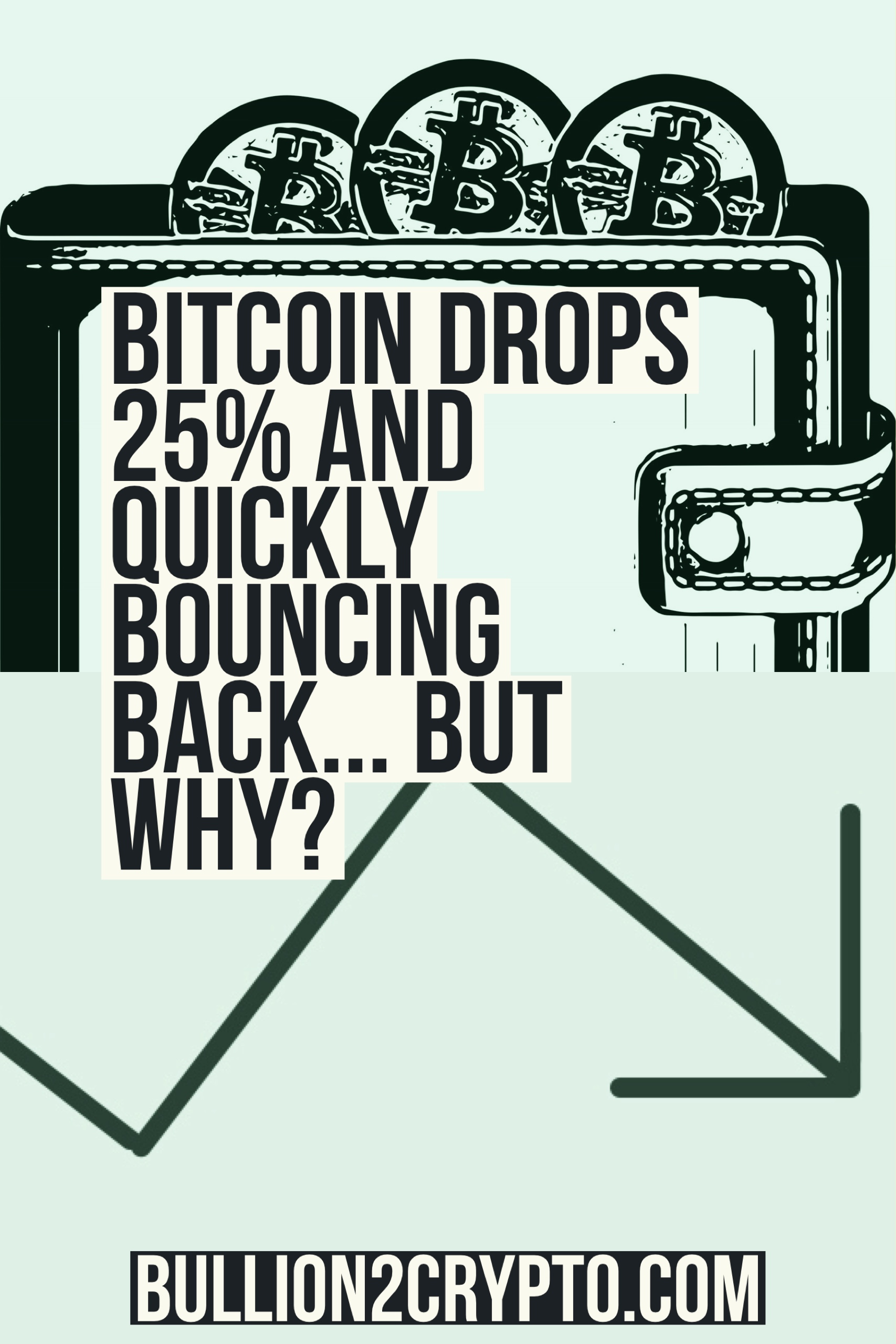 Why did bitcoin prce drop?